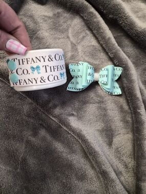 Aqua Logo Ribbon Bow and Boot Set For Stanley